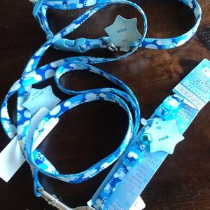 Pet Collar and Leash Set